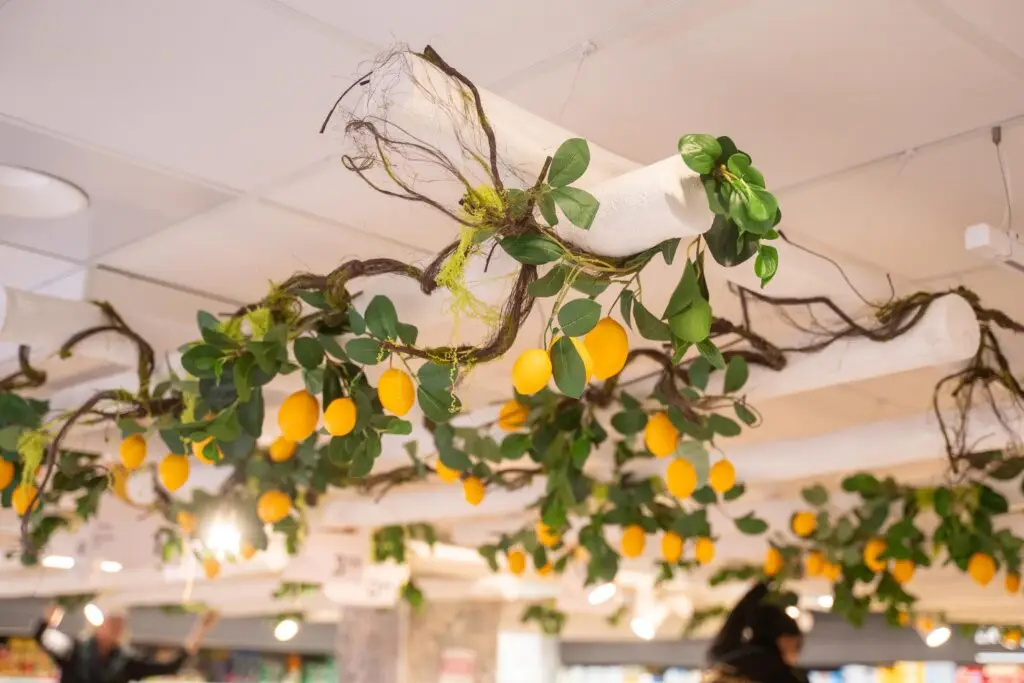 Limonaia Coop travi finto legno verde artificiale
